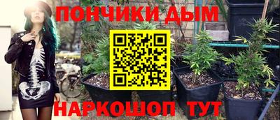 скорость Новозыбков