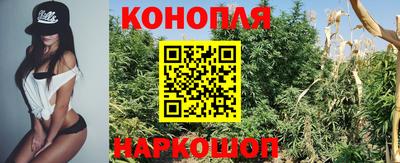 скорость Новозыбков