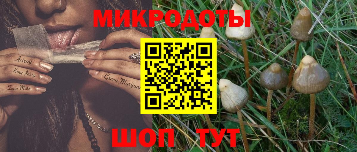 Псилоцибиновые грибы ЛСД Сорочинск